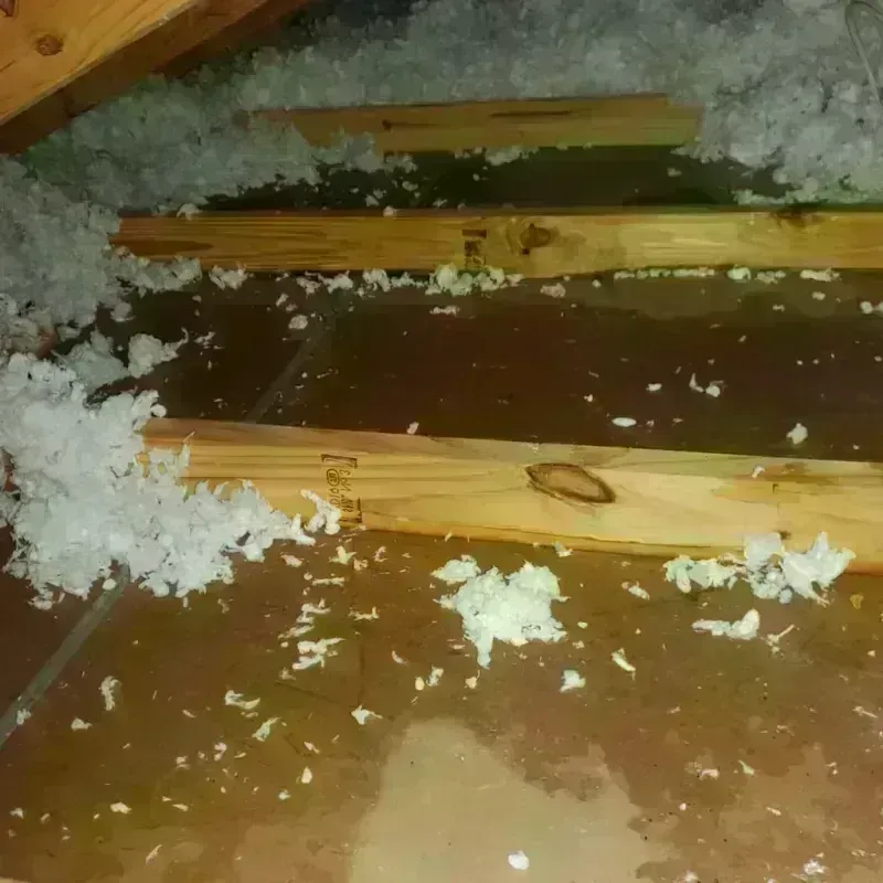 Attic Water Damage in Horace, ND