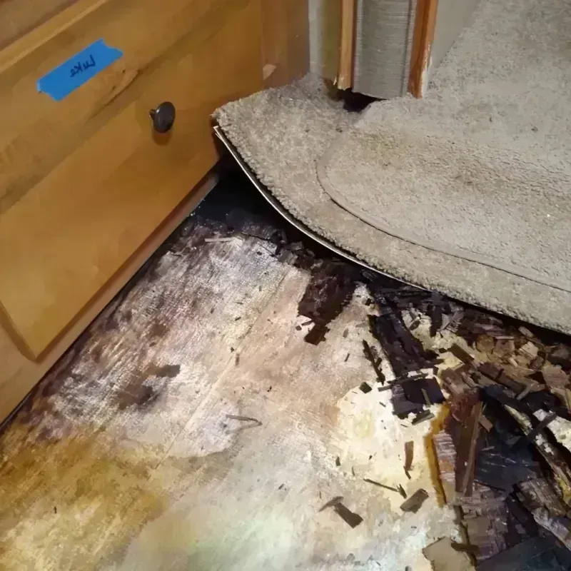 Wood Floor Water Damage in Horace, ND